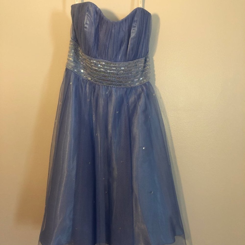 Niki Livas Strapless Formal Dress Sz 8